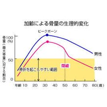 骨量や骨を強くするには？の画像