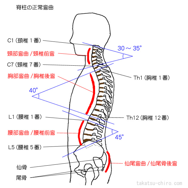 姿勢を変えるだけで、見た目が5歳若返る？の画像