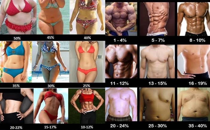 体重ではなく、体脂肪を落とそう！の画像
