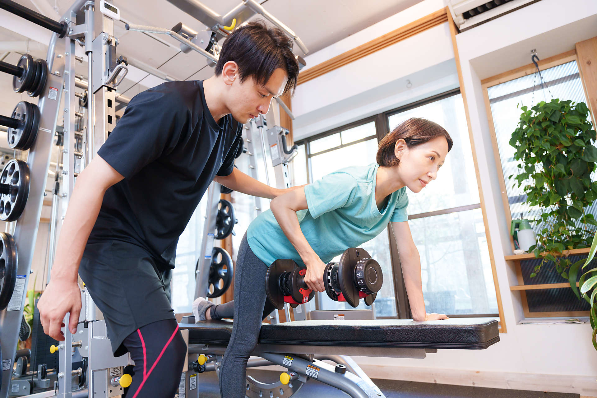 トレーナーのイメージ画像